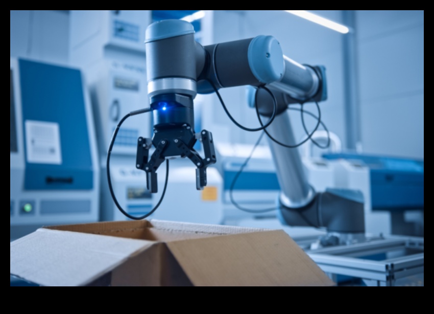 Excelență vizuală: crearea de experiențe automate cu precizie robotică