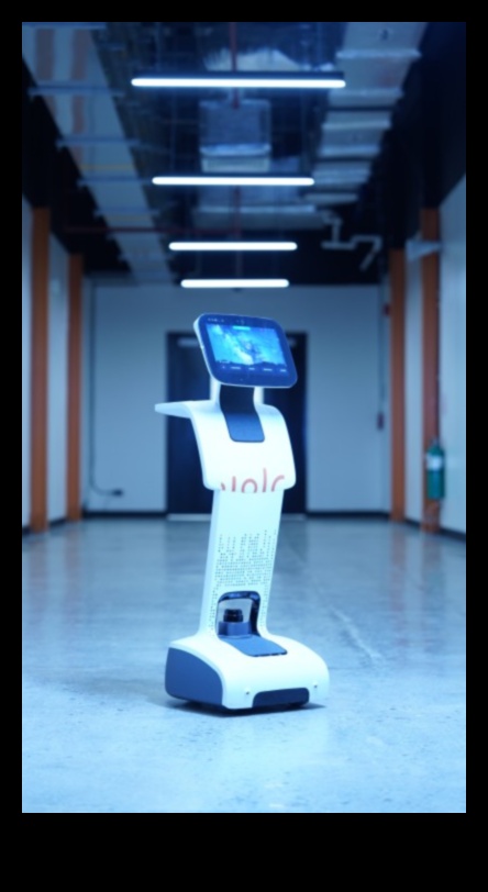 Excelență vizuală: crearea de experiențe automate cu precizie robotică