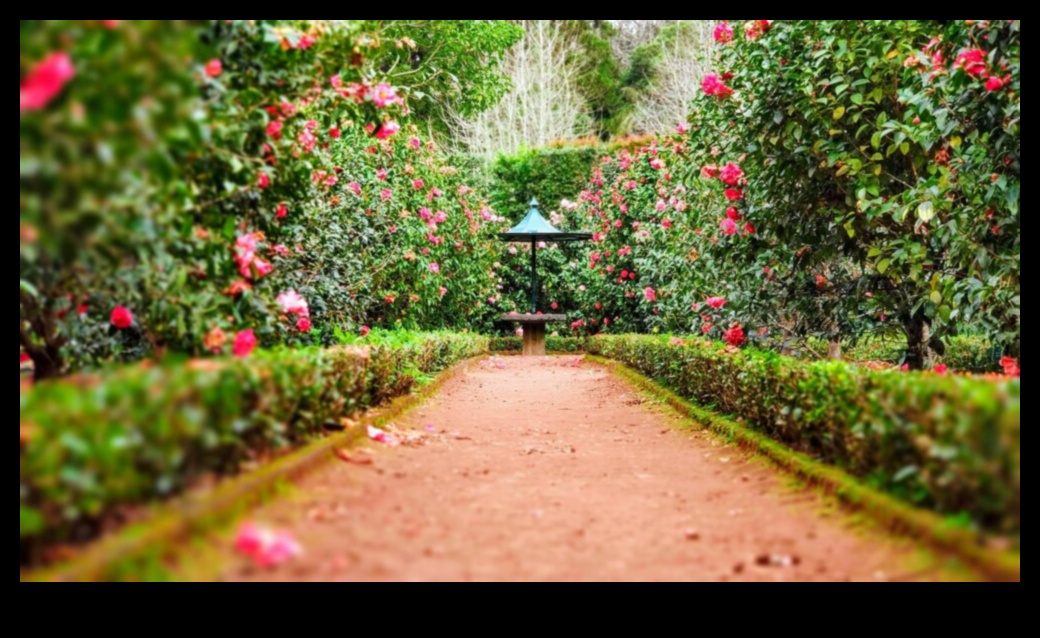 Designuri simfonice de grădină care cântă în armonie cu natura 3 Garden Symphony: Design-uri care rezonează cu natura