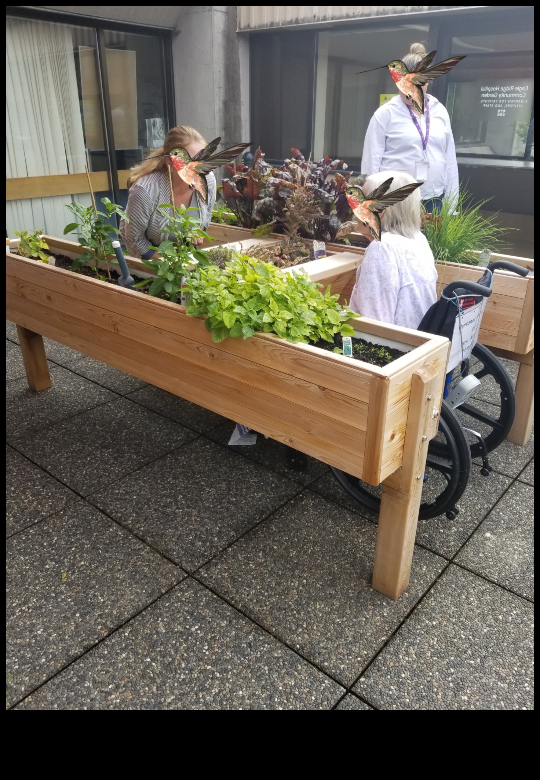 Garden Harmony: Echilibrarea frumuseții și eficienței în îngrijire