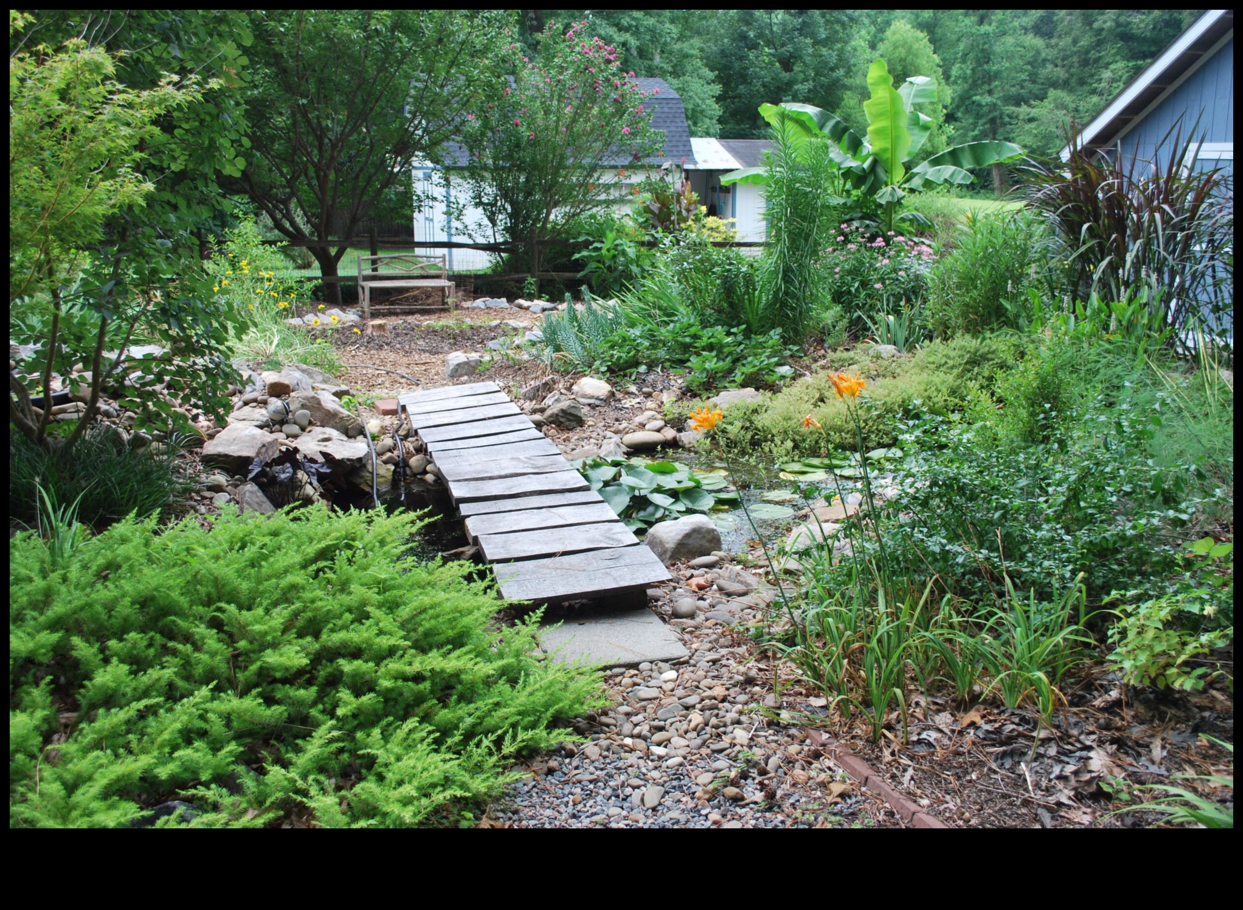 Garden Harmony: Echilibrarea frumuseții și eficienței în îngrijire