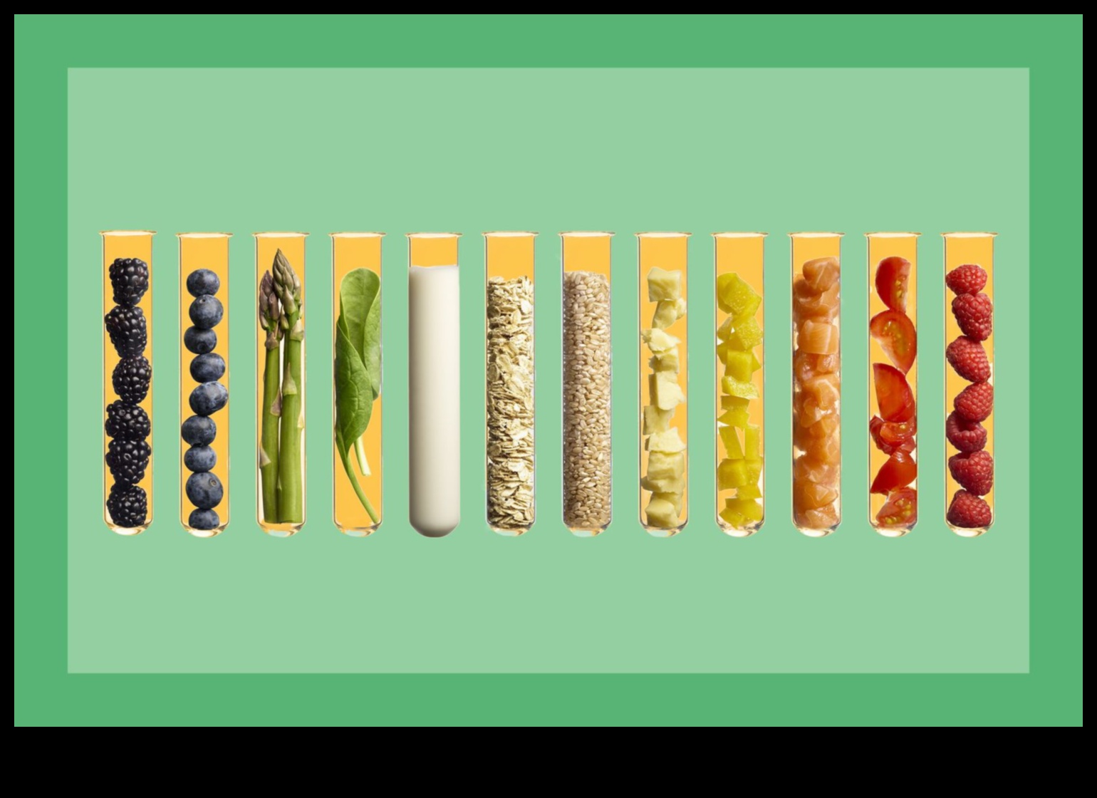 Navigarea în nutriție Un ghid pentru nutrienții esențiali 3 Navigarea în nutriție: foaia de parcurs pentru nutrienții esențiali