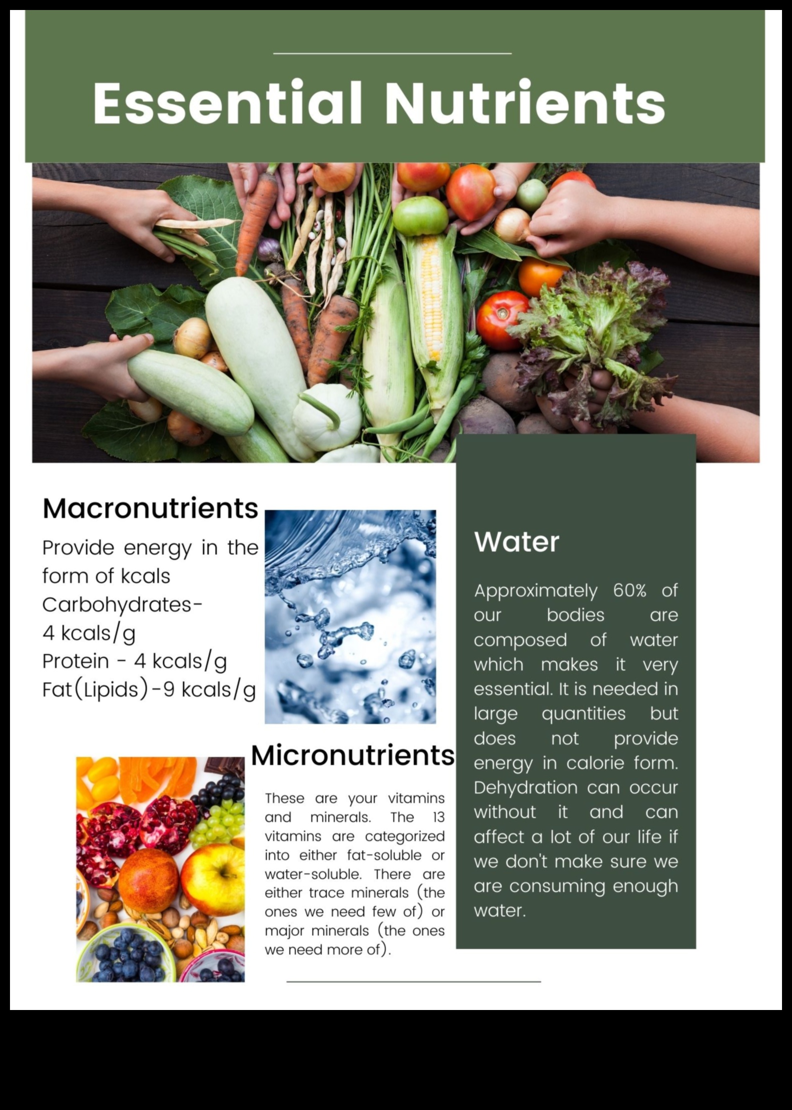 Navigarea în nutriție Un ghid pentru nutrienții esențiali 2 Navigarea în nutriție: foaia de parcurs pentru nutrienții esențiali