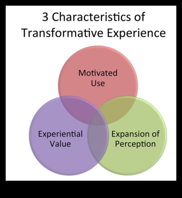 Excelență vizuală: creați experiențe de transformare cu precizie
