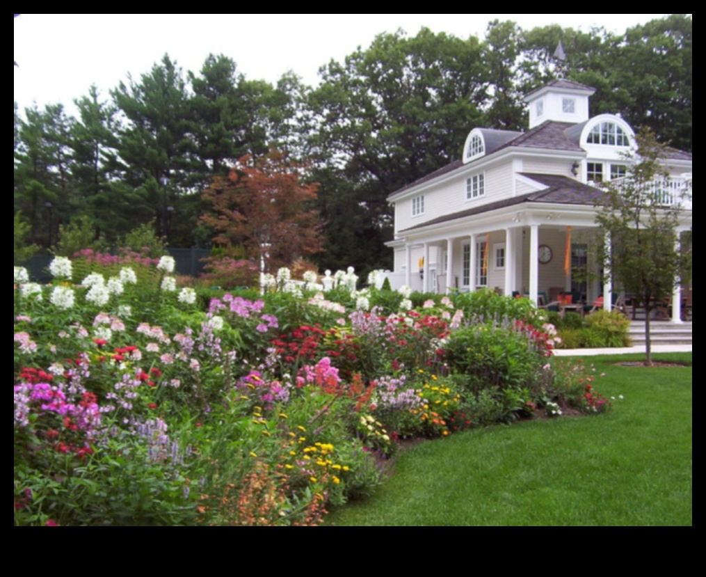 Flore de epocă Cum să creați o grădină cu cărți de povești cu căsuțe 3 Flore de epocă: creați grădini cu cărți de povești cu căsuțe