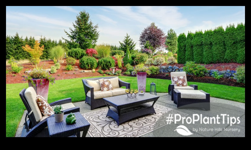 Minuni de grădină așteaptă: inspirații pentru echipamente esențiale