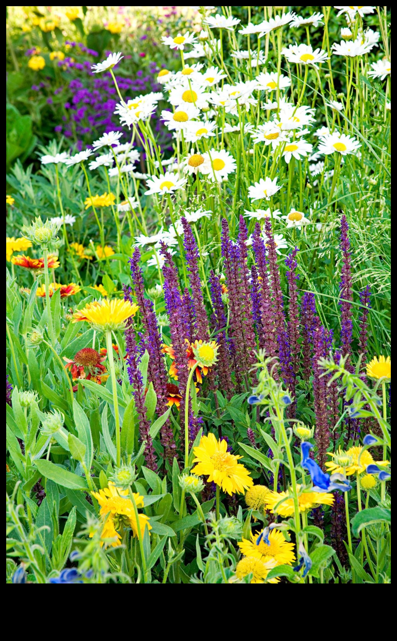 Însoțitori florali: cultivarea grădinilor înfloritoare cu împerechere