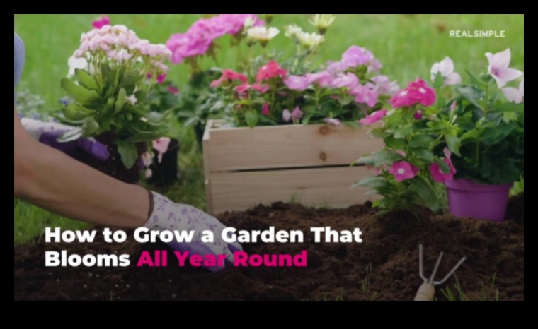 Cultivați frumusețea: dezvăluiți secretele întreținerii eficiente a grădinii