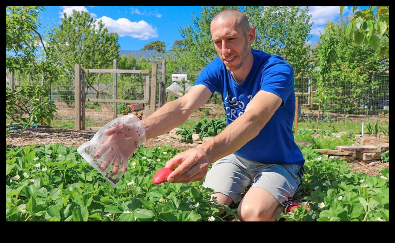 Protejarea liniștii Cum să feriți dăunătorii din grădina dvs. 2 Protejarea liniștii: combaterea dăunătorilor din grădina dvs