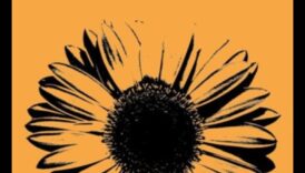 Revelații radiante: Magia accesorie dezvăluită