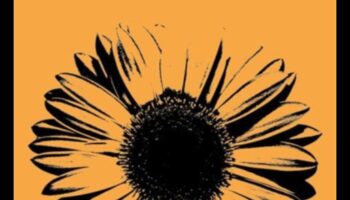 Revelații radiante: Magia accesorie dezvăluită