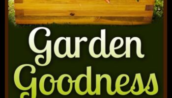 Bunătate de la grădină la farfurie: delicii vegetariene proaspete