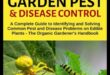Combaterea insectelor de grădină: Ghidul grădinarului pentru stăpânirea dăunătorilor