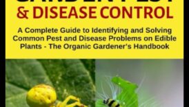 Combaterea insectelor de grădină: Ghidul grădinarului pentru stăpânirea dăunătorilor