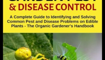 Combaterea insectelor de grădină: Ghidul grădinarului pentru stăpânirea dăunătorilor