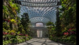 Tapiseria verde: grădinărit vertical pentru peisaje artistice