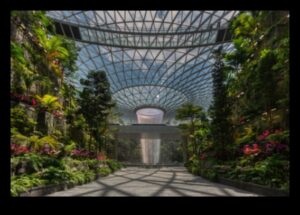 Tapiseria verde: grădinărit vertical pentru peisaje artistice