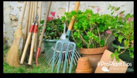 Minuni de grădină așteaptă: inspirații pentru echipamente esențiale